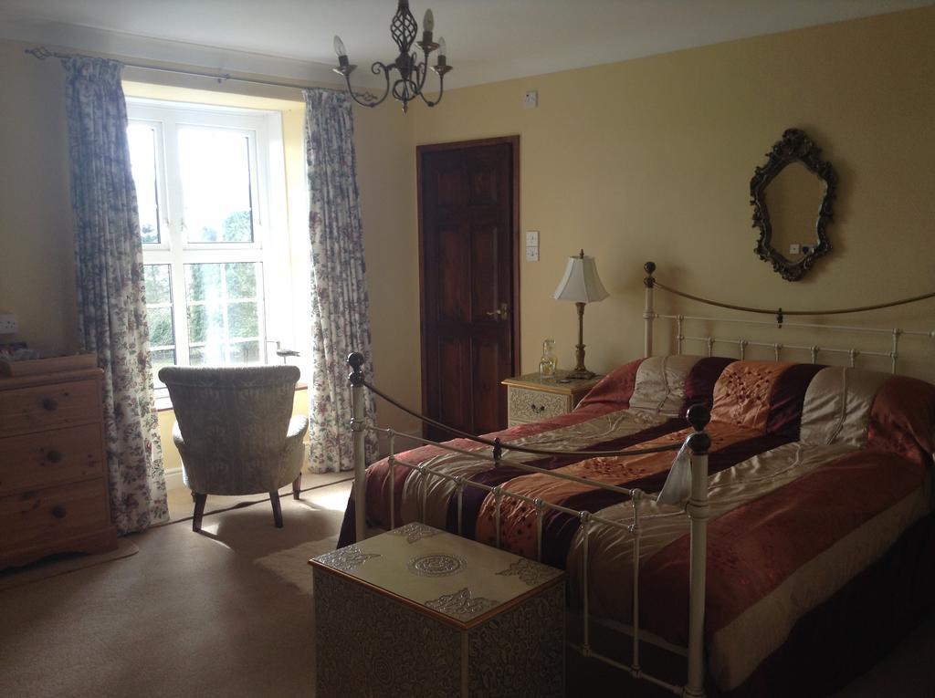 Frondderw Country House Bed & Breakfast Bala Kültér fotó
